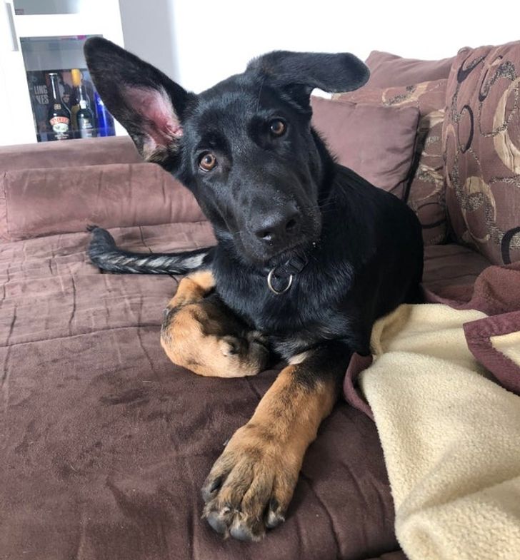 c05df25f7ea0186b9d05bc54f5