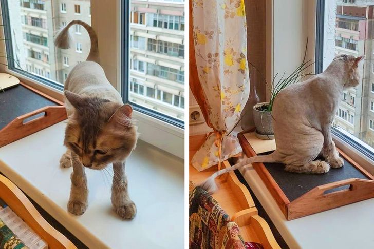 c060845b2c8ed5f3ff6ba43f8e c060845b2c8ed5f3ff6ba43f8e