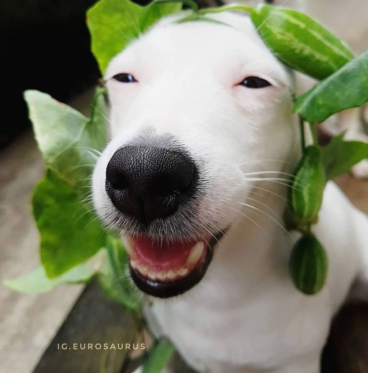 c064225867bd02f93cd42a2a66