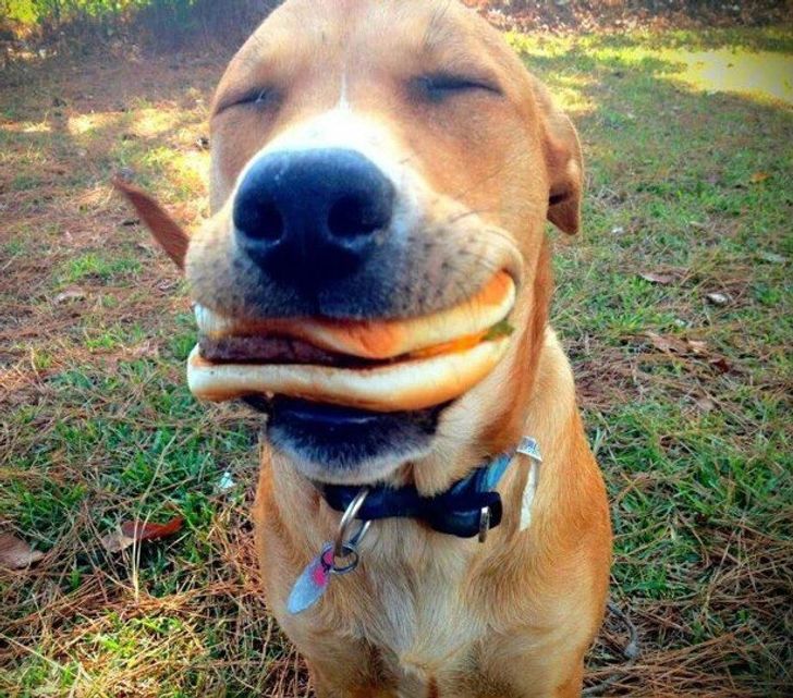 c069dc5d6fb55bff9d7aaafdae