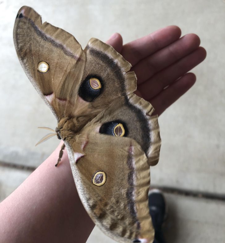 c06e1957628b34571e7e4b9dbb