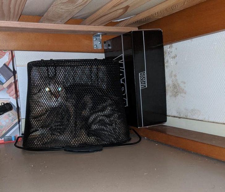 c06f3d5129aa91b4618c1466fb