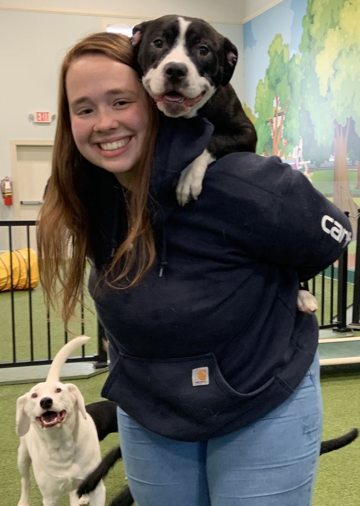 c07bb75ad68045a28f474436f6