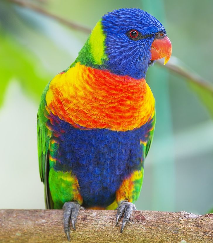 c07d645a65a5f51aa895a44b21