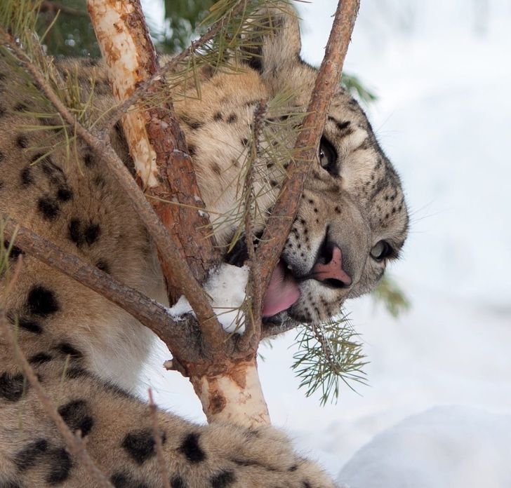 c083445118a6ff84277d1a8802