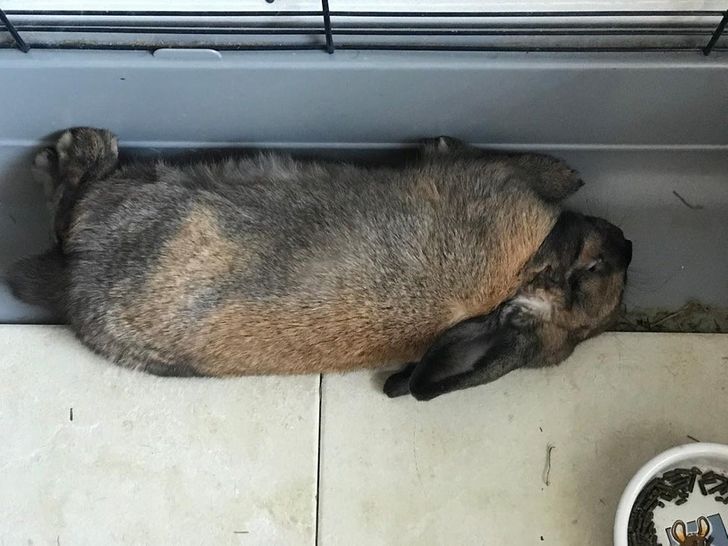 c08aed5748893415ca67b143f7