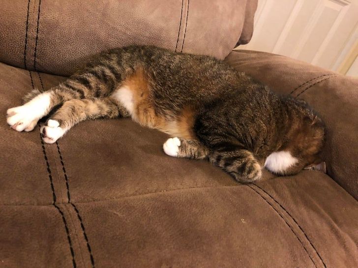 c08ce357eb9431a552860c9136