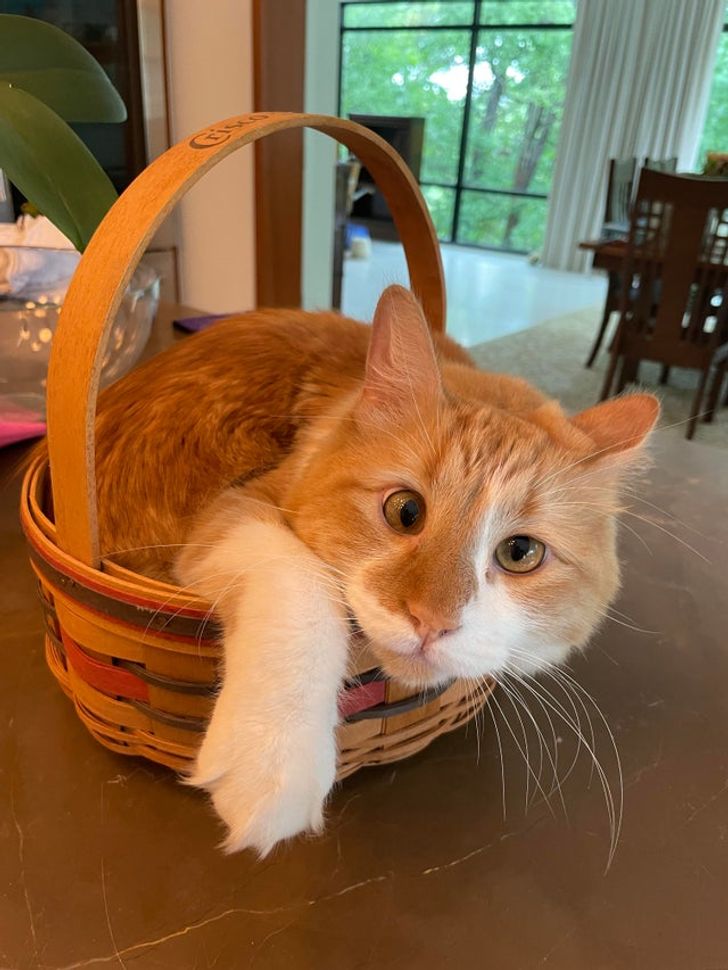 c090fb5a9e8d935da6cb644c95