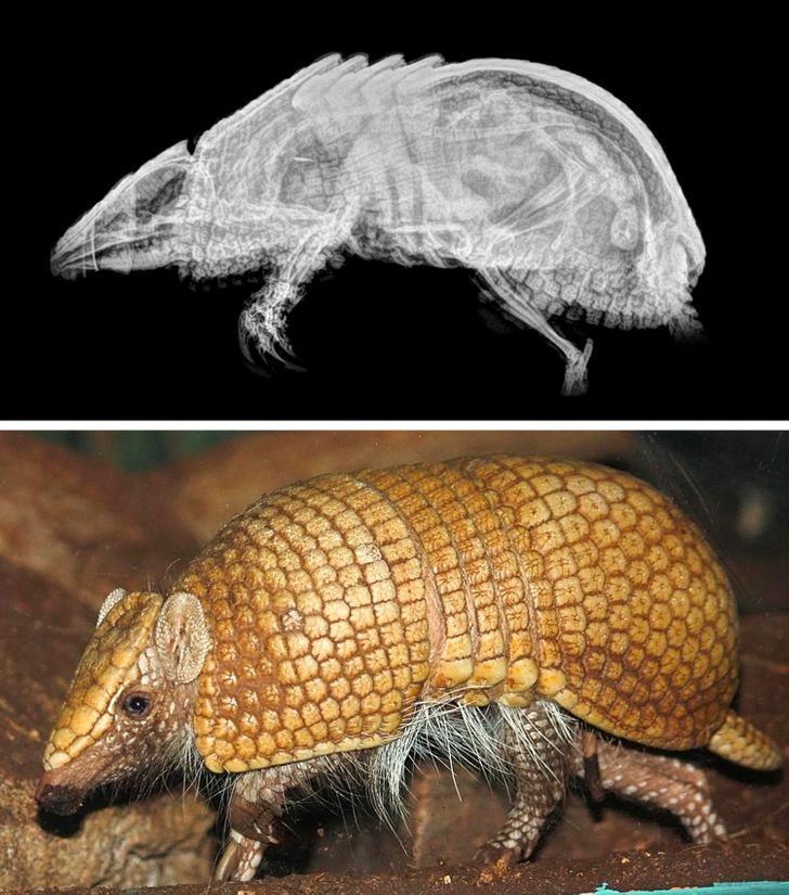 c0924456ff95ee1a4e2b4be278