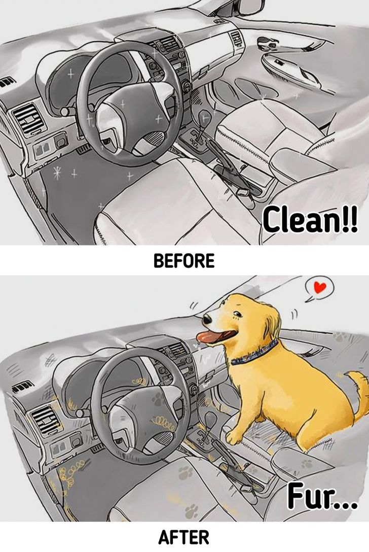 c098235ec5890e8c6f71d129b0