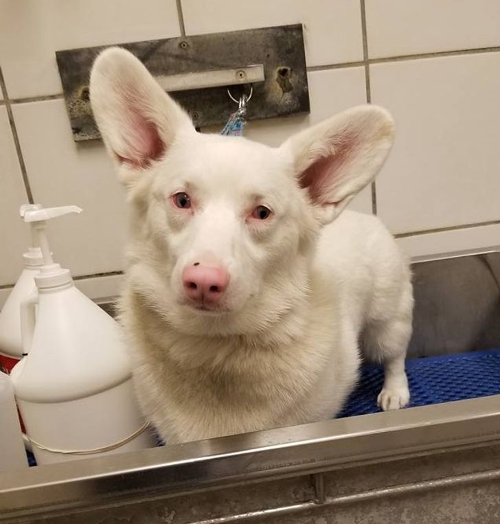 c0986f5c3f86f5c74205f0a639