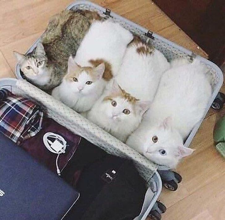 c09a255e9e8dc1c5350613d1e5