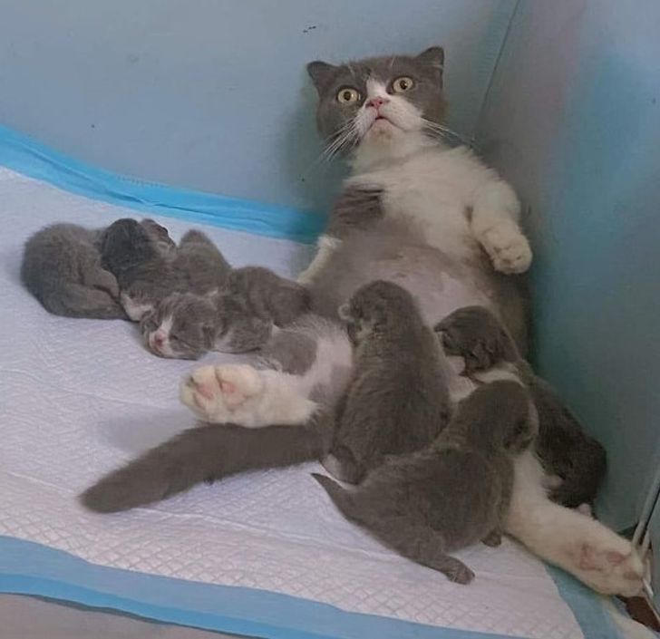 c0a8f65f7a8234959a85b32699