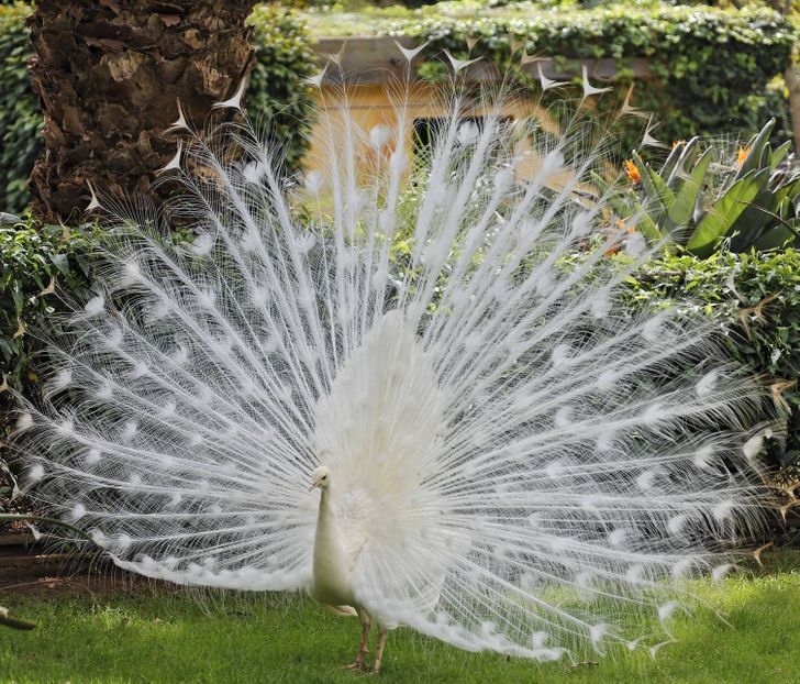 c0abde59fcbe27c30b4b86e54b