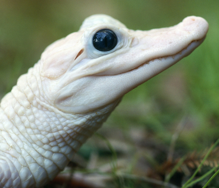 c0af5654c0972abd509df5942b