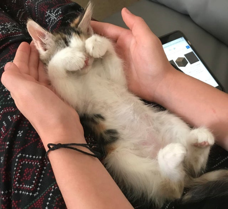 c0af99582f9511bf0769e4d845 c0af99582f9511bf0769e4d845