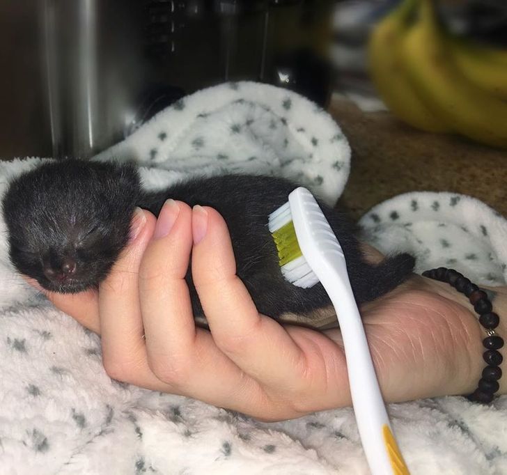 c0b43051e0919acbc62de8951d