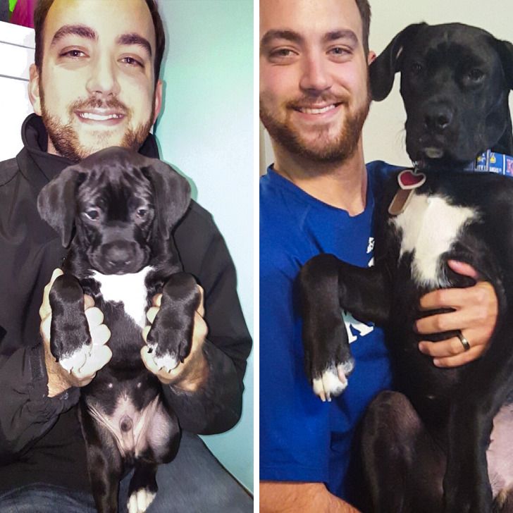 c0c3a155128a13c60fecbffdcc