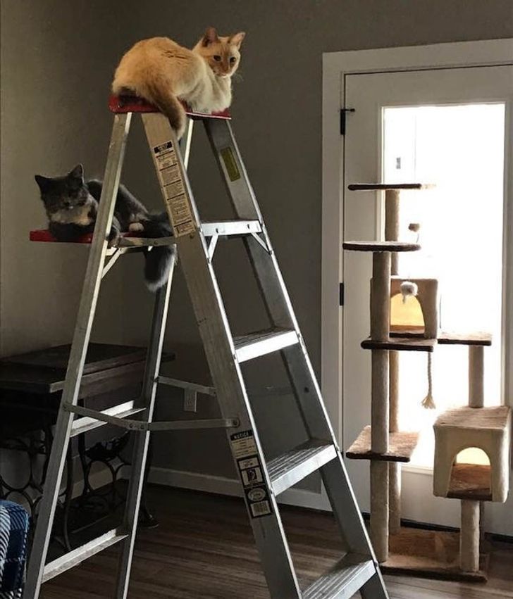 c0c6d55b7994cfff6ae5fef213