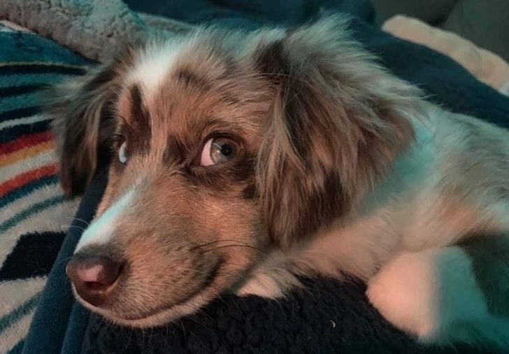 c0c7d250c085bc4aa693f6beed