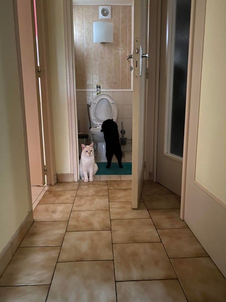 c0ce80502bb263757f8845604e