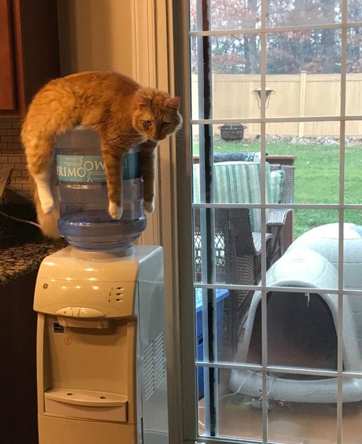 c0ce8151508ea2078bb9d83844