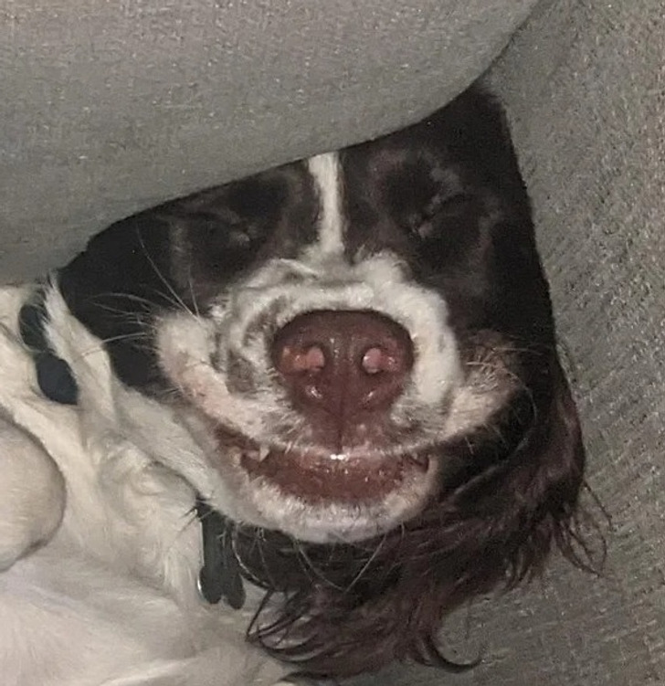 c0d6415c4683db5c94a735fd82