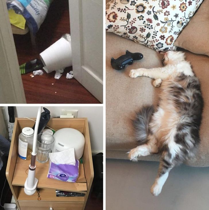 c0d88456e3a4ae448017bfbb52