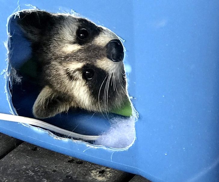 c0db4458b4b5e63527885768c4