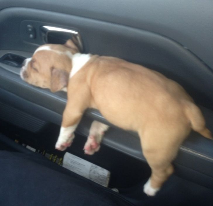 c0dbb257b4b78aae16ec3ef492