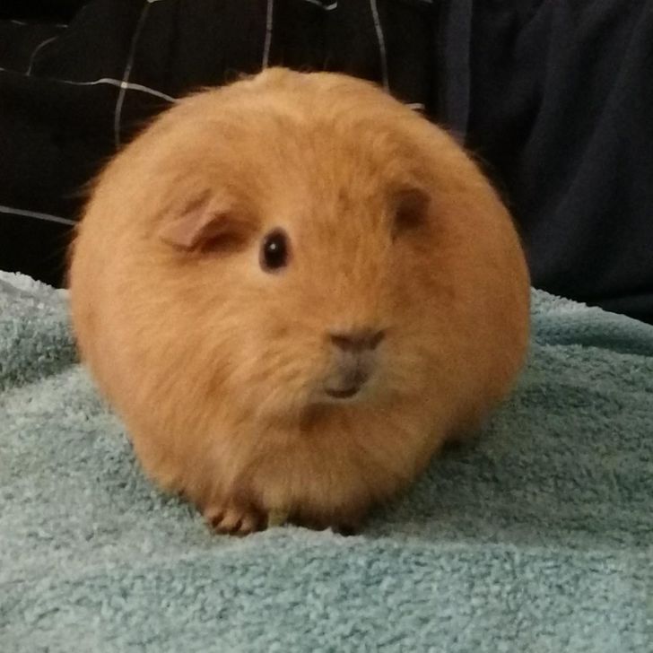 c0e07d57b1a4ec227e83d2850d