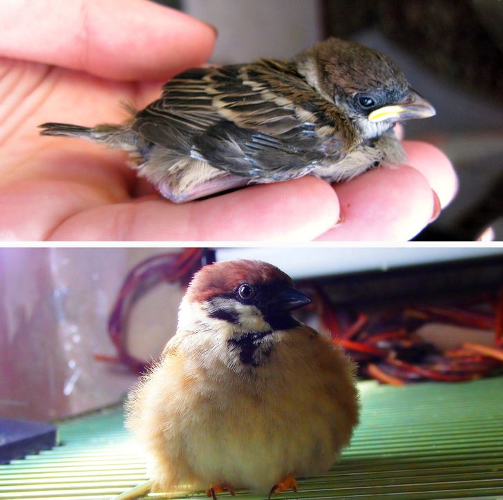 c0eadb506ba55f90c3c0be94b4