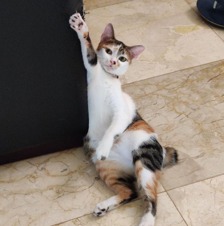 c0fbd65e1194692e6e9dec75fc