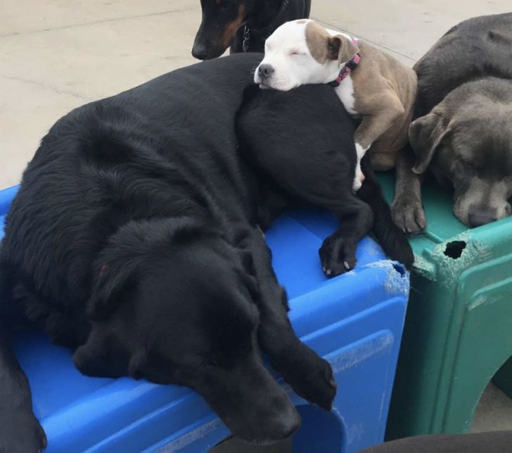 c10e5f5d3998189fe9ebd6910f