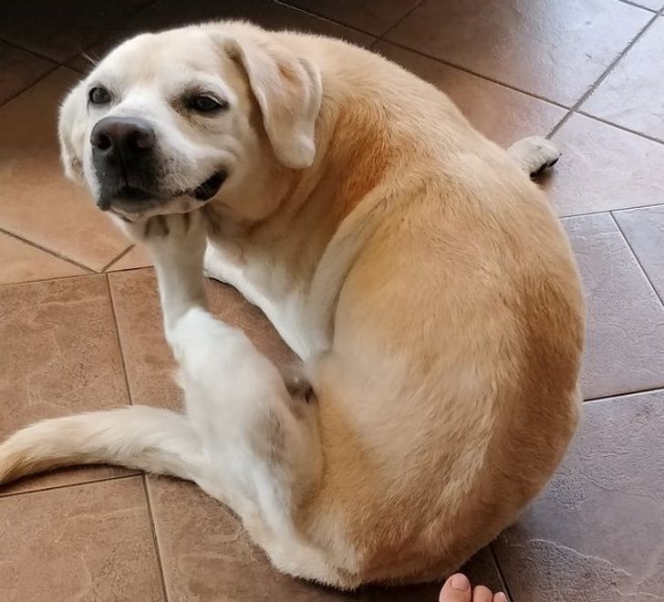 c111f45a7989db9dcfb1fc9d1a