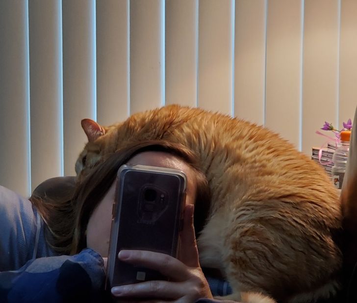 c11c3e5a0989bec2cdaaf695d4