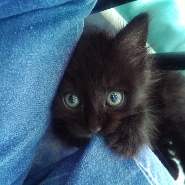 c1210d50e5a15f6e93487373d7