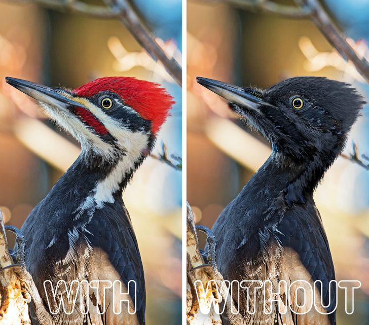 c12efc5fde85831428fa51138c