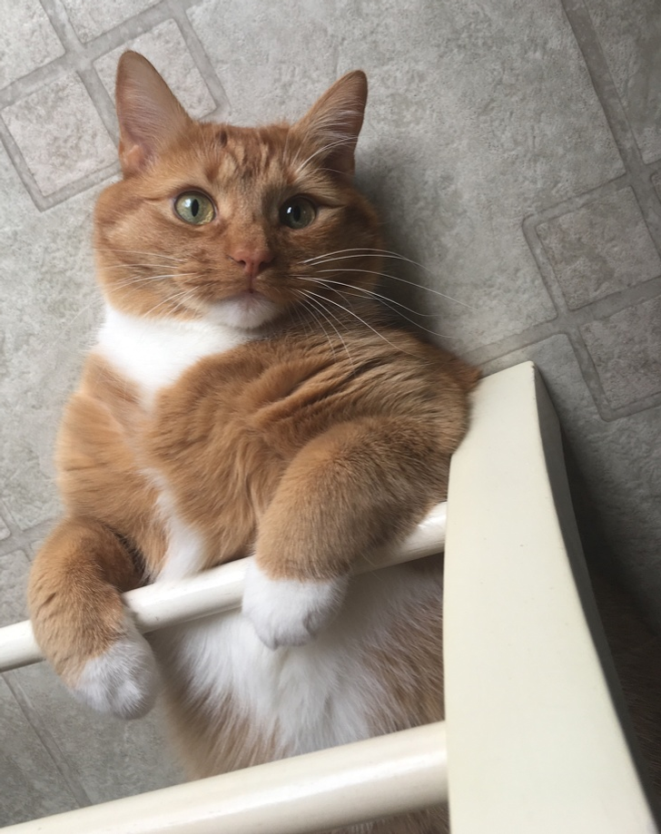 c1377d58f493a99f0b89fe4a3b