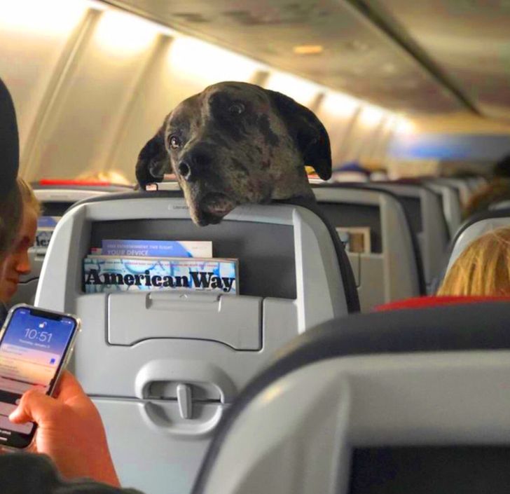 c13f455ad5a20fa8ce6f1eb94c