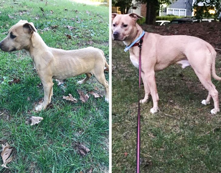 c143145913b502ebcf1be10268