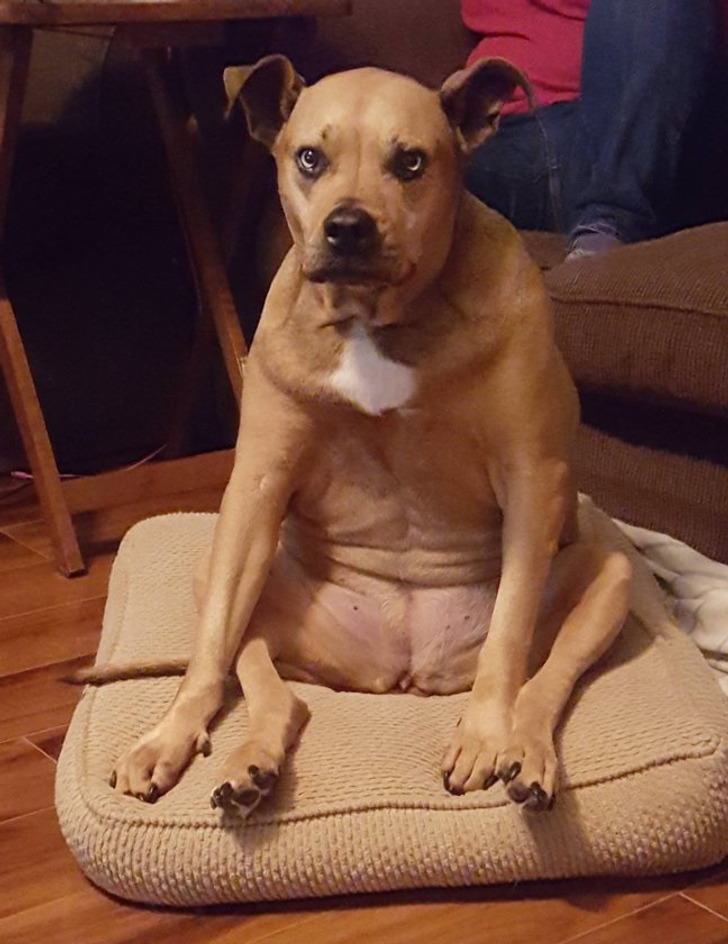 c14cf65fafba2c3383cead7bcb