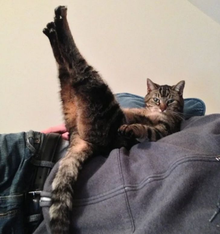 c15e9052178dceaeac3a780488