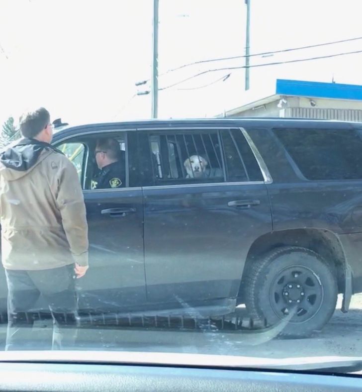 c167db51d0b435b2fd7e361a62 c167db51d0b435b2fd7e361a62