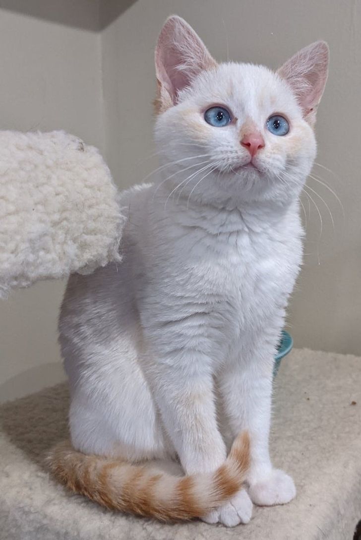 c16cd9598296a77a0220de627f c16cd9598296a77a0220de627f