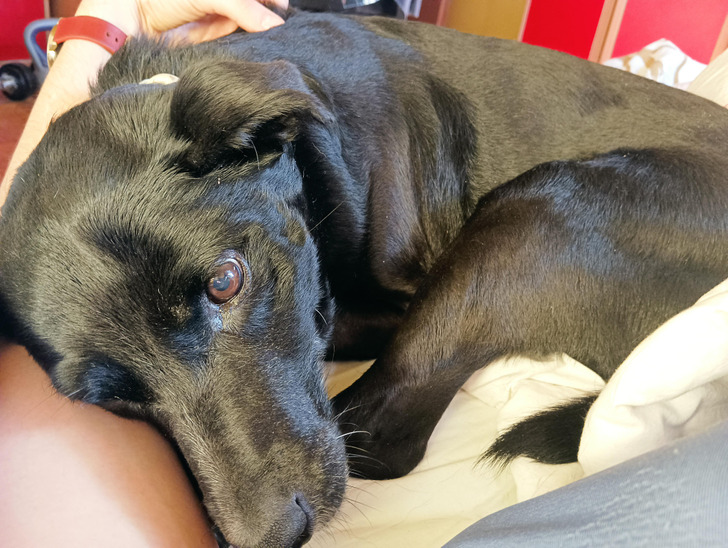 c16d5759c59b2d6b0fdfac99df