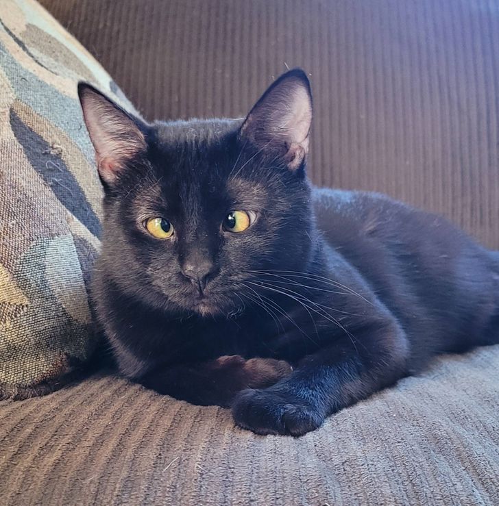 c16fa05750bf1224583ef32805