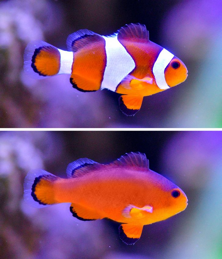 c176665b959902ca8284eb0c8d