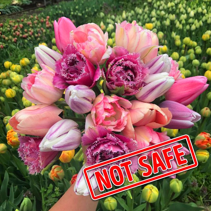 c18e175c8d90f63701b5ef6271