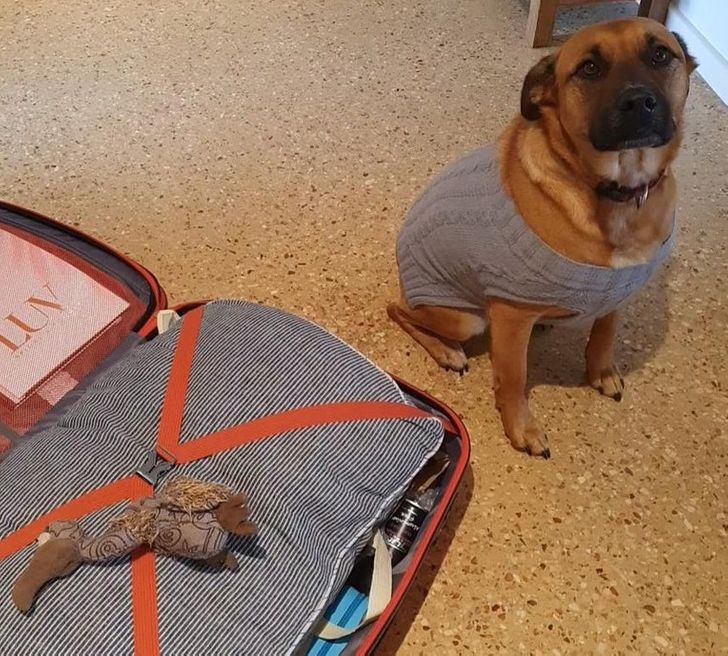 c192665ae6b9cd818269ce7efd